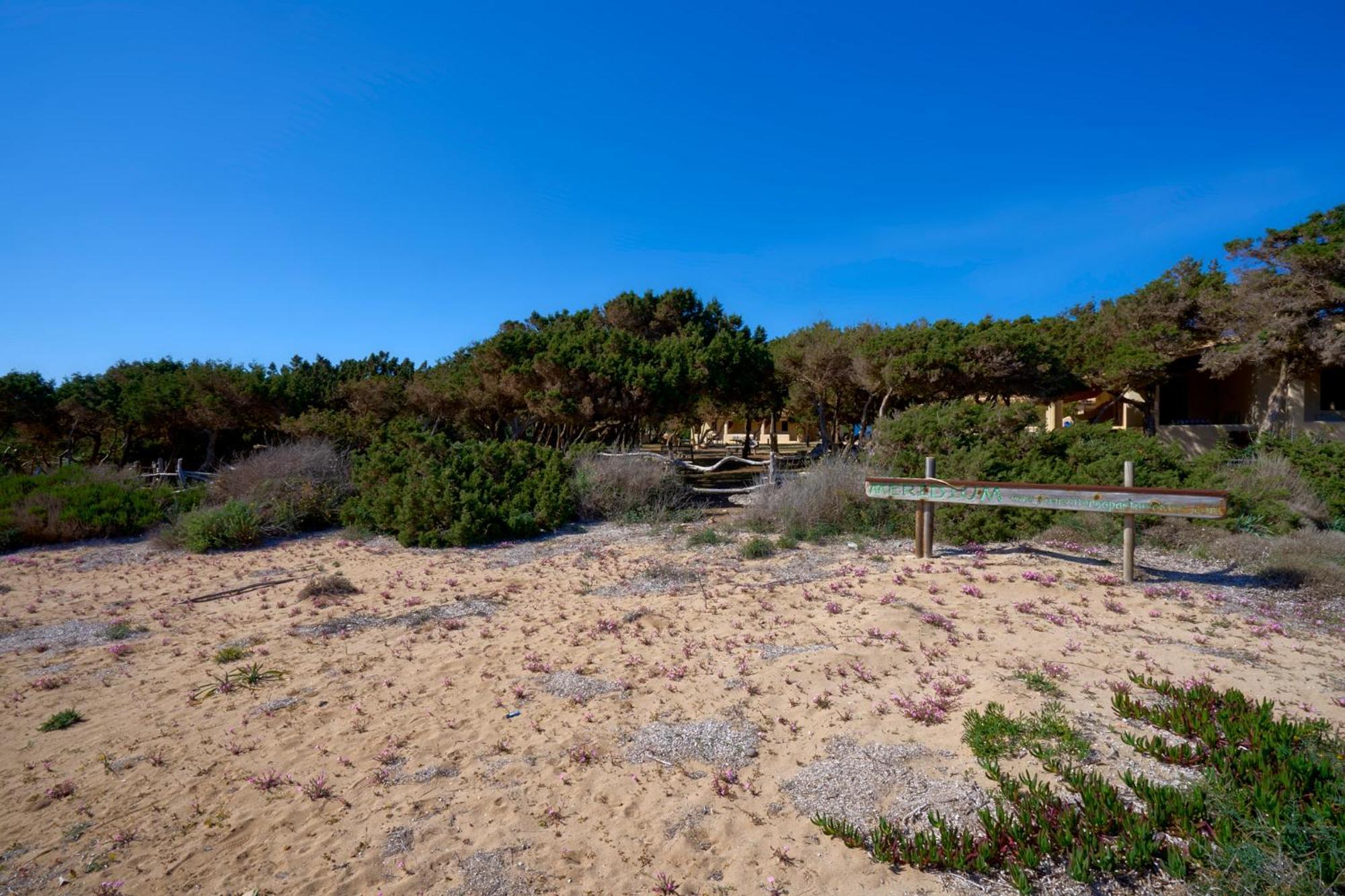 Meridium Formentera By Tentol Hotels Playa Migjorn Extérieur photo